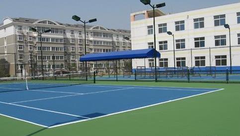 生產(chǎn),銷售,工程施工為一體的專業(yè)體育場地設施營造企業(yè)