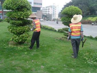 園林綠化施工、養(yǎng)護,草皮銷售及種植,園區(qū)、市政等改造工程