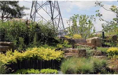 靜安區美麗城區項目臨汾路東茭涇(二期)綠化建設工程竣工