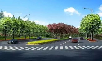 今天起,建筑路改擴(kuò)建工程正式開(kāi)始施工 繞行路線提前規(guī)劃起來(lái)