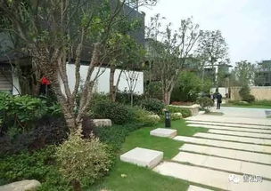 園林綠化工程施工技術規范大全 萬字長文