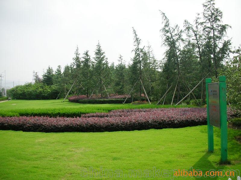 承攬綠化工程、園林施工、園林綠化工程養護