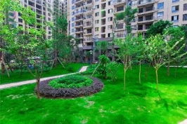 青?？诒脠@林綠化值得信賴