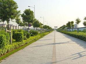 如何在市政道路園林施工完善綠化養護管理 好養護