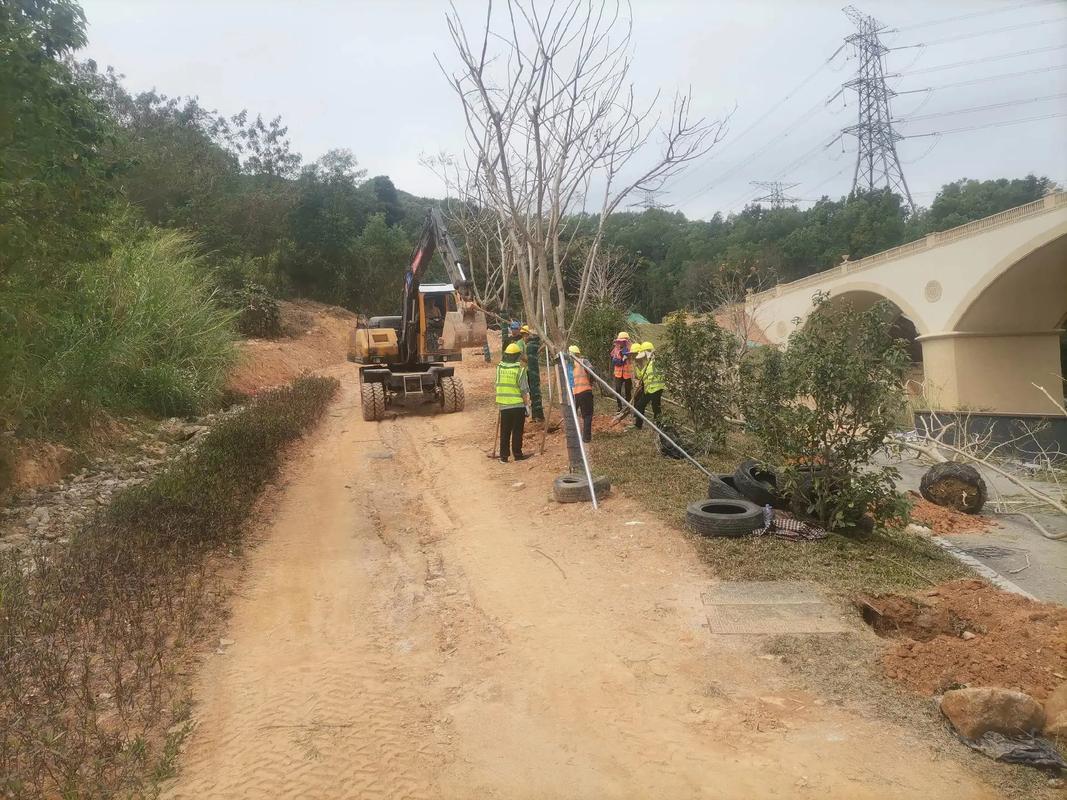 植樹節(jié),種樹#園林綠化工程 #施工現(xiàn)場實(shí)拍